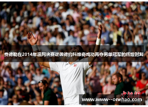 费德勒在2014年温网决赛逆袭德约科维奇成功再夺男单冠军的辉煌时刻