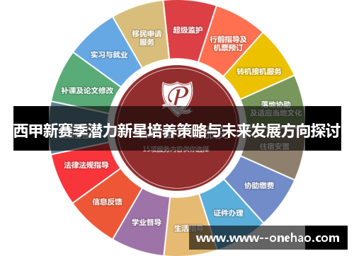 西甲新赛季潜力新星培养策略与未来发展方向探讨 西甲新赛季潜力新星培养策略与未来发展方向探讨