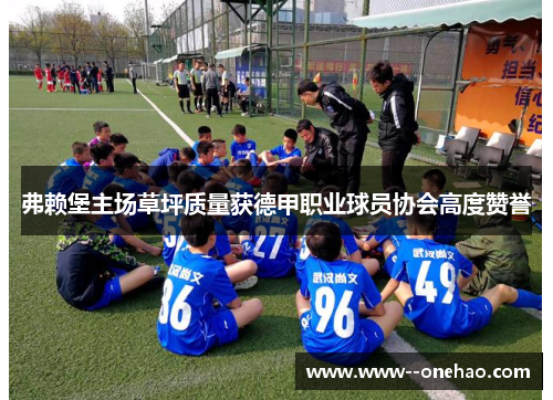 弗赖堡主场草坪质量获德甲职业球员协会高度赞誉 弗赖堡主场草坪质量获德甲职业球员协会高度赞誉