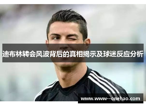 迪布林转会风波背后的真相揭示及球迷反应分析