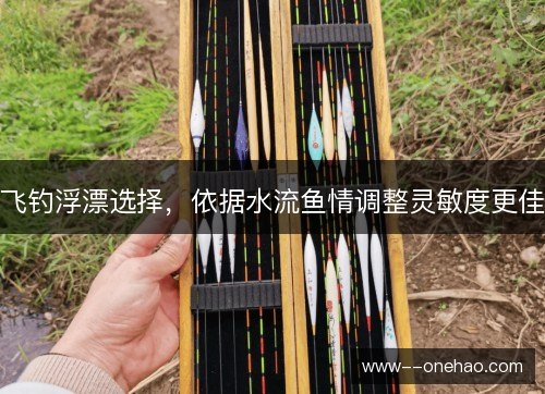 飞钓浮漂选择，依据水流鱼情调整灵敏度更佳